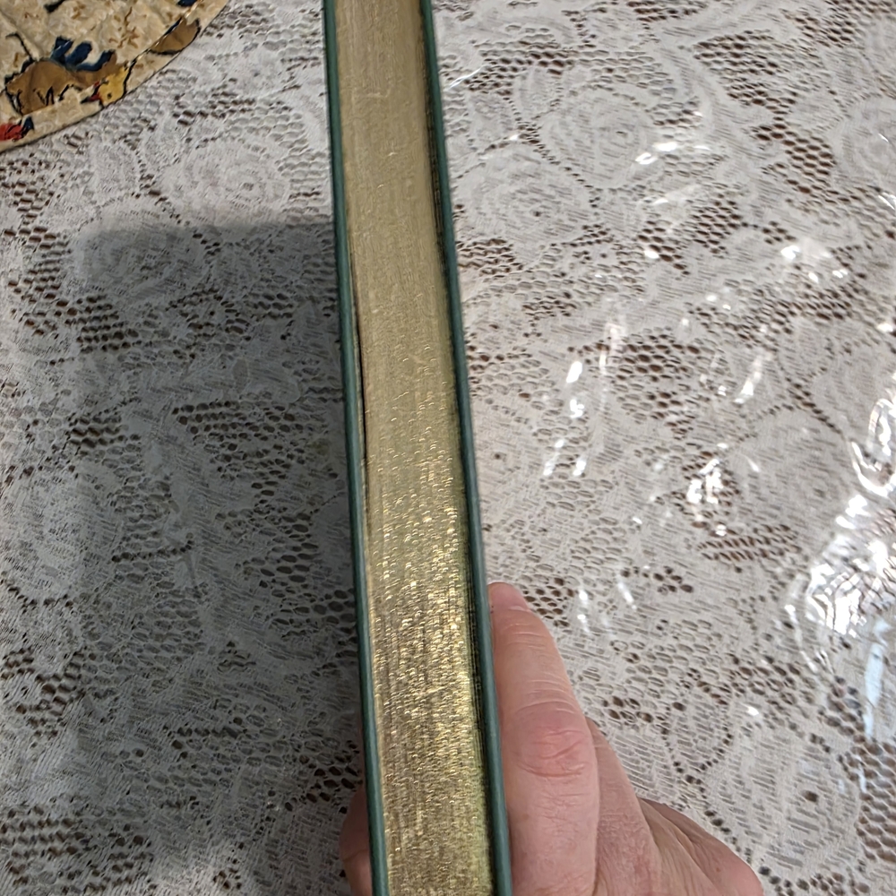 Sholastic The Royal Diaries Cleopatra VII Book Cover - Green and Yellow - Picture 6 of 7